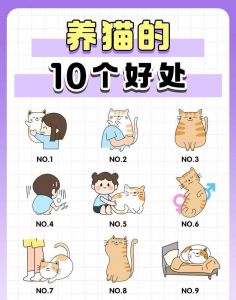 养猫好处多，压力有伴儿（家里养猫的好处和坏处）
