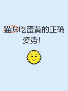 鸡蛋黄养毛健体，小猫每周食1-2次需煮熟控量（给小猫吃鸡蛋黄的好处）