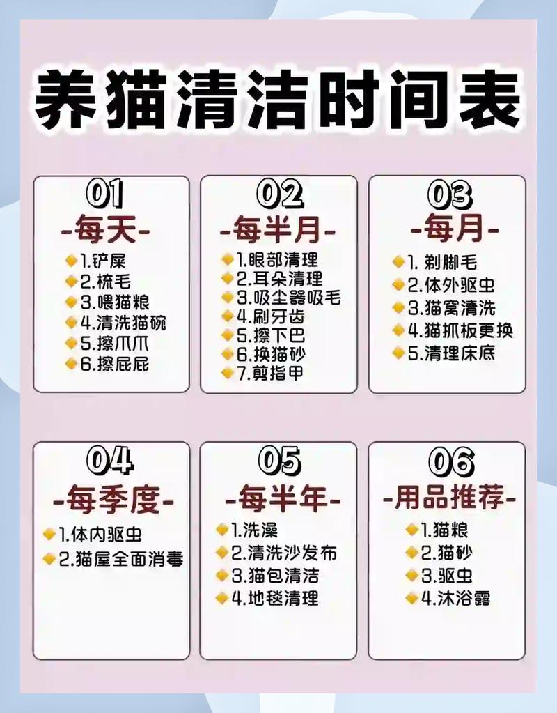 猫咪洗澡费用因地而异，大城市较贵，小城市较便宜（猫洗澡多少钱一次）