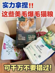布偶猫掉毛多？营养清洁压力是主因（怎样才能让布偶猫不掉毛）
