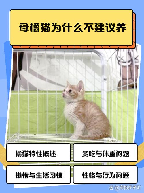 健康生活情绪全面评估（养猫对女性的危害）