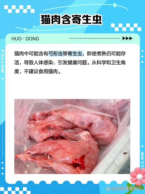 猫肉能吃吗？健康伦理风险大（吃猫肉对身体好吗）