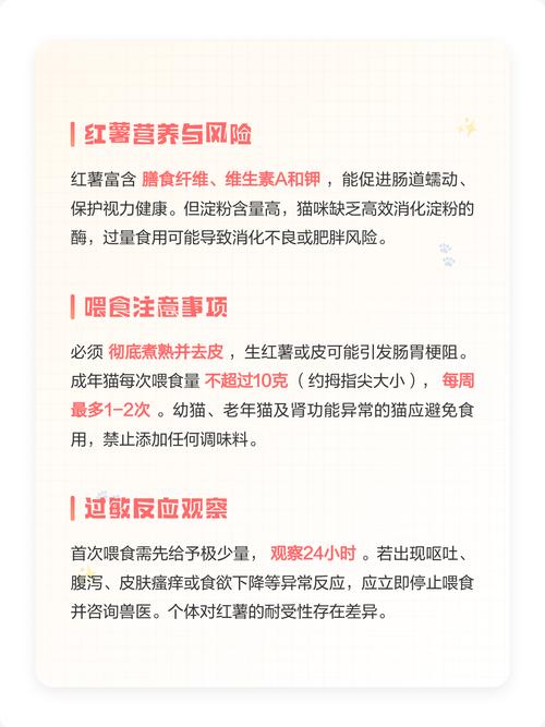 红薯干对猫有害，别喂太多（猫猫可以吃红薯干吗）