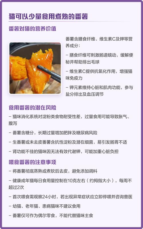 蒸红薯可当猫零食 但要少喂并去皮（猫咪能吃番薯吗蒸熟的）