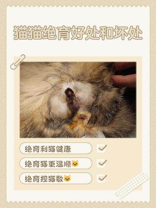 健康幸福少烦恼（母猫不绝育的优点）