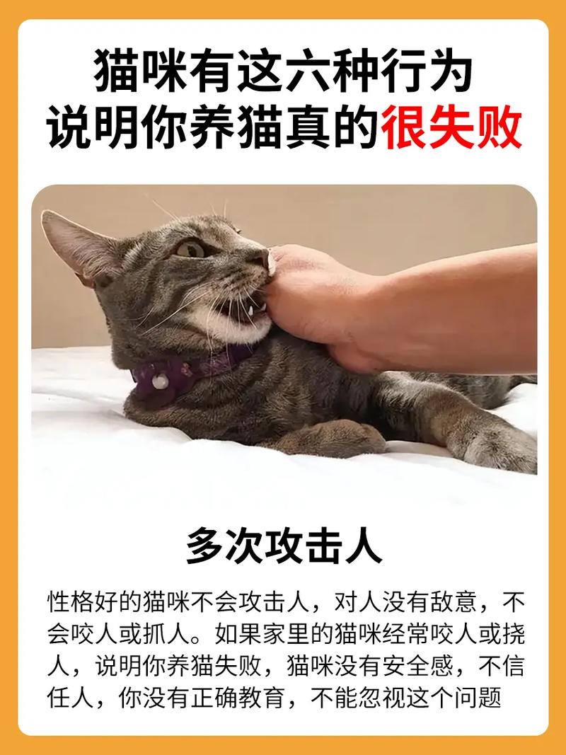 烦恼多？养橘猫好处也不少（养橘猫的十大危害）