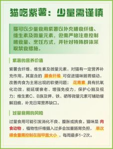 猫咪紫薯芋头猪肝要少吃（猫能吃紫薯吗蒸熟的）