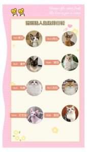 养猫选中华田园猫，便宜好养还粘人！（什么猫最便宜又好养还可爱粘人听话）