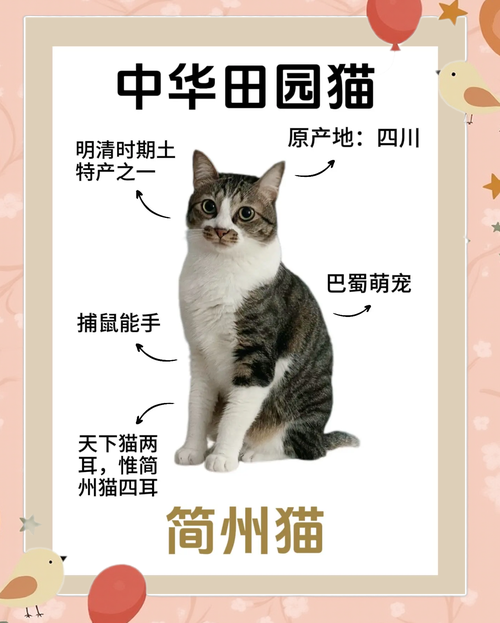 好奇爱自由，警惕贪吃的小吉祥物（简州猫是凶猫还是吉猫）