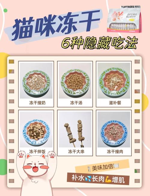 冻干猫粮营养好易保存，但别光吃，要搭配！（猫咪吃冻干的好处和坏处）