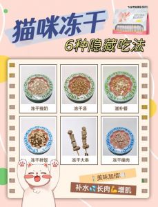 冻干猫粮营养好易保存，但别光吃，要搭配！（猫咪吃冻干的好处和坏处）