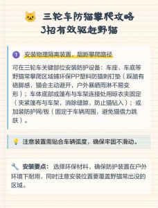 用气味隔离法保护三轮车（有野猫在三轮上过夜怎么赶走）