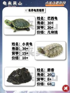 选对品种，爱心耐心养！（龟大全图片品种）