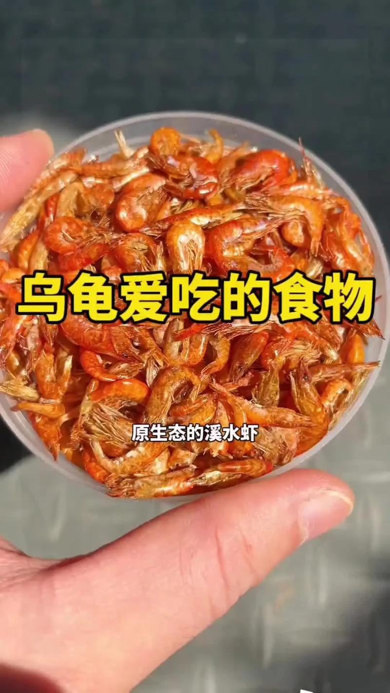 故事讲体重不够，虾米来帮忙（虾和乌龟的笑话故事）