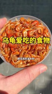 故事讲体重不够，虾米来帮忙（虾和乌龟的笑话故事）