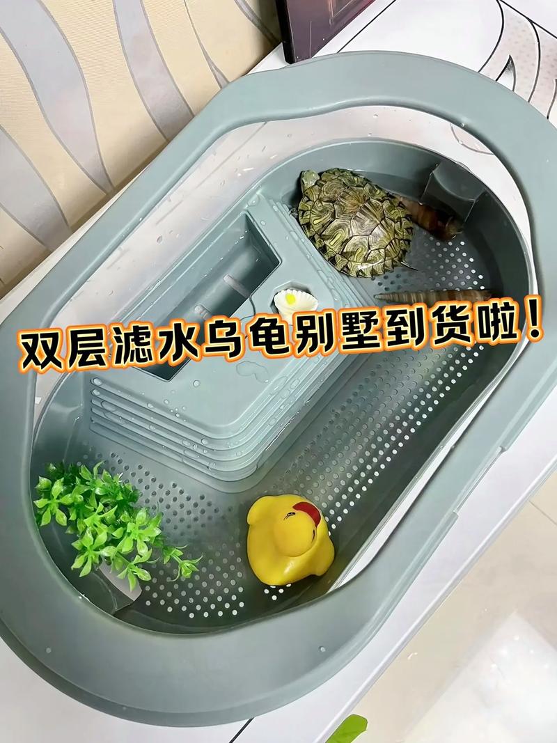 乌龟窝怎么布置？水陆分区，清洁保温是关键（乌龟的窝该怎么布置）