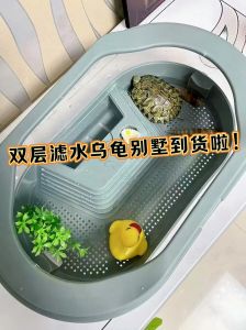 乌龟窝怎么布置？水陆分区，清洁保温是关键（乌龟的窝该怎么布置）