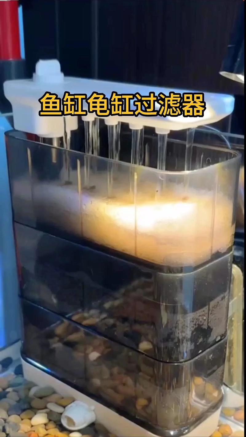龟缸过滤不用复杂，简单勤换水也行，龟苗选迷你过滤（养龟用什么过滤比较好）
