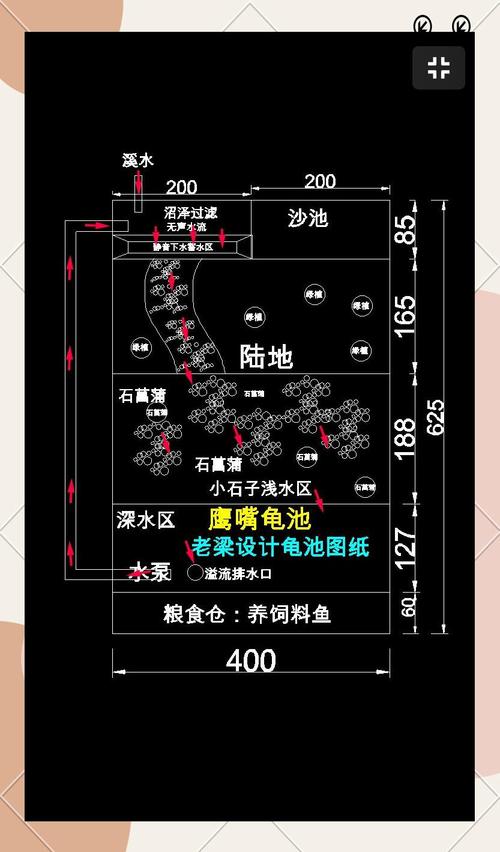 巧用造景分水陆，安全舒适好环境（做一张乌龟缸的正确布置图纸）