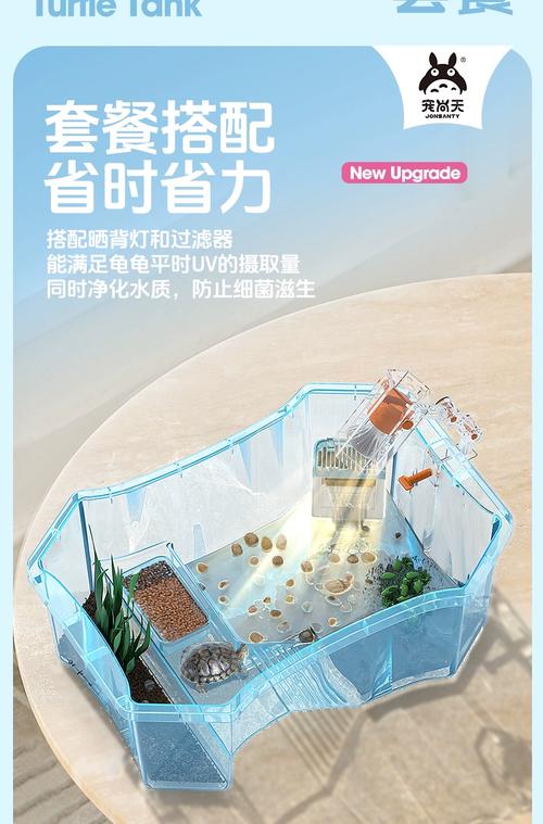 巴西龟龟缸布置全攻略（巴西龟龟缸布置图）