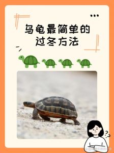 安全透气环境，温柔呵护（养乌龟冬天冬眠应该怎么做）