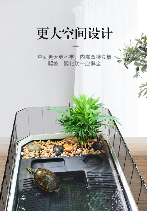 巴西龟龟缸布置全攻略（巴西龟龟缸布置图）