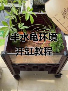 自制塑料瓶乌龟缸，经济环保又有趣！（废物利用自制乌龟缸）