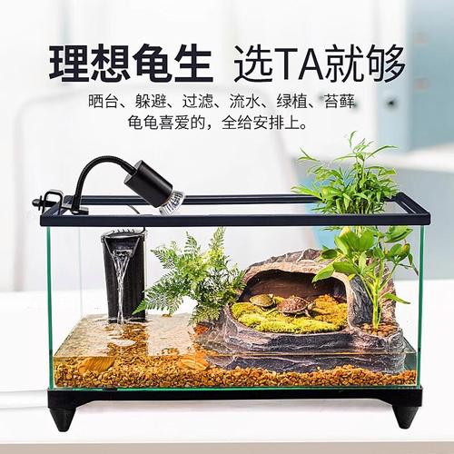 10厘米草龟缸需60cm带晒台，深浅水区，加过滤加热棒（10cm的乌龟用多大的缸）