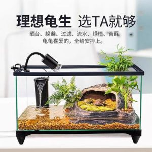 10厘米草龟缸需60cm带晒台，深浅水区，加过滤加热棒（10cm的乌龟用多大的缸）