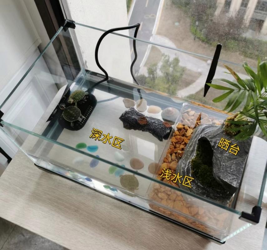 简洁实用，爬行晒背好环境（乌龟缸怎么布置简单）