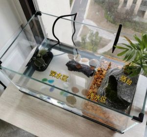 简洁实用，爬行晒背好环境（乌龟缸怎么布置简单）