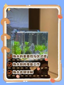 乌龟换水多久？幼龟勤换，夏季高温多换，冬季可缓（乌龟缸多久换一次水）
