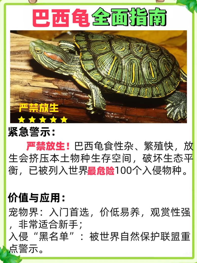 温度环境是关键（冬天小乌龟怎么养才能活）