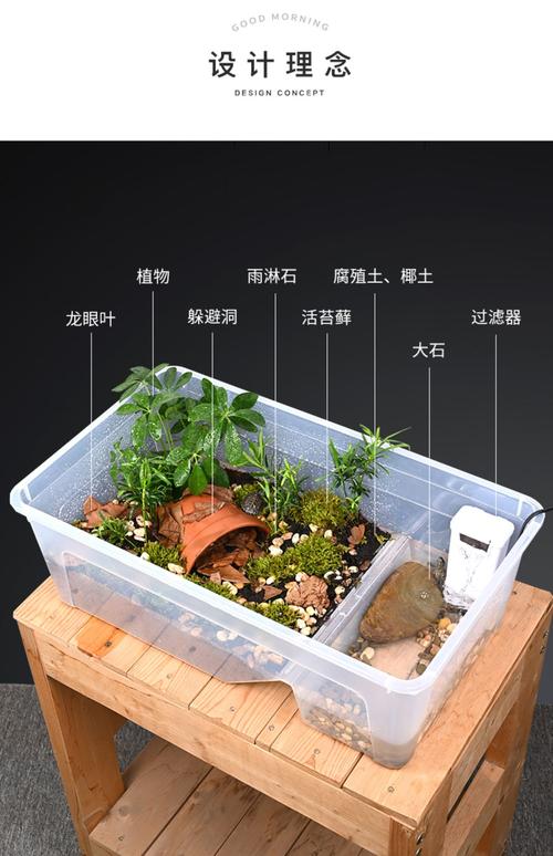 过滤植物与安全维护（草龟缸造景布置大全图）