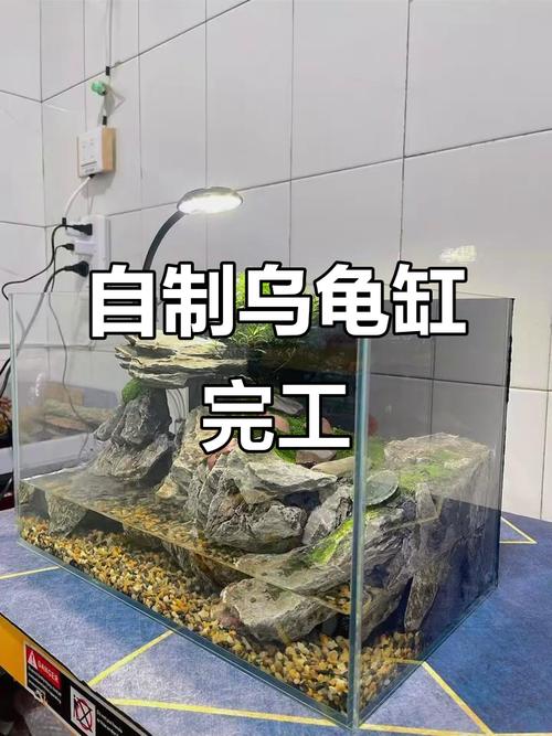 龟缸放阳台，阳光通风好，玻璃缸透气，水陆两分，乌龟舒心（养乌龟的缸怎么布置图片大全）