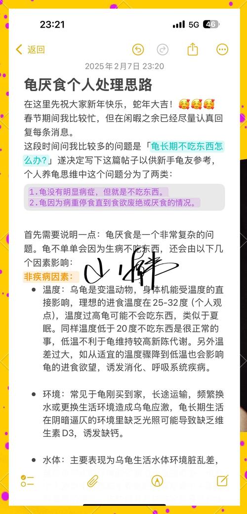 小龟不吃肉？水温和食物得调调！（为什么小巴西龟不吃肉）