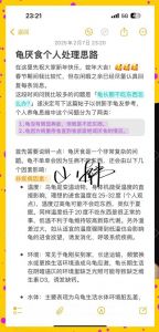 小龟不吃肉？水温和食物得调调！（为什么小巴西龟不吃肉）
