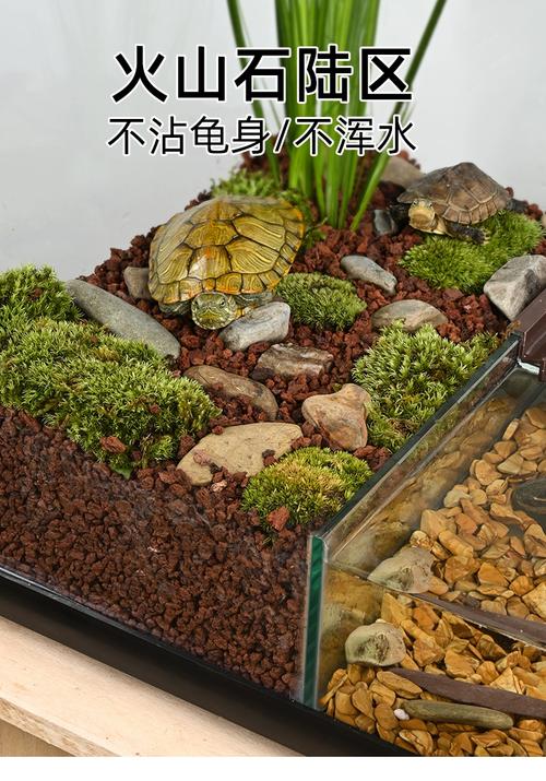 安全舒适环境打造（30×17小乌龟缸布置）
