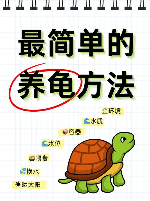 金钱龟跳缸原因及解决方法（金钱龟跳缸是怎么回事）