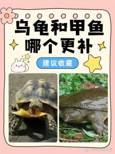 甲鱼鲜嫩美味，优于乌龟，是餐桌佳肴（鳖和乌龟哪个好吃）