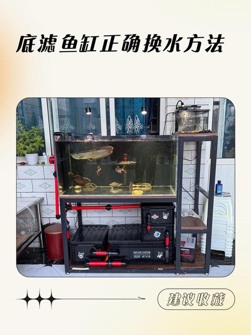 科学养龟换水法，保健康少烦恼（乌龟缸里面放了沙怎么换水呢）