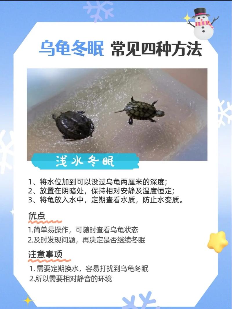 养乌龟注意环境食物健康（小乌龟怎么养才能养好）