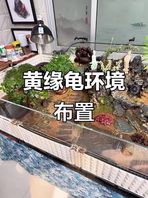 攀爬晒背隐匿全兼顾（地图龟缸造景布置大全）