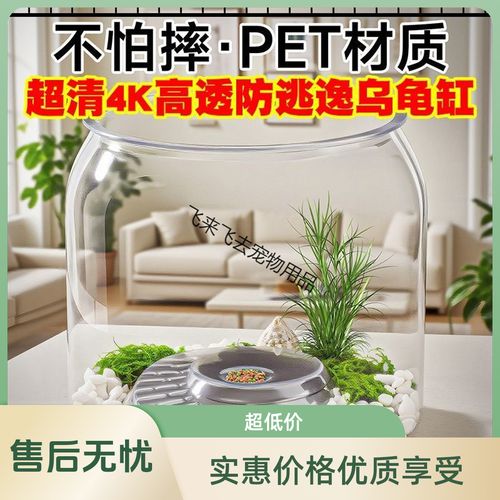 乌龟缸水陆布置与养护要点（圆形乌龟缸布置）