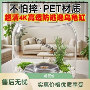 乌龟缸水陆布置与养护要点（圆形乌龟缸布置）