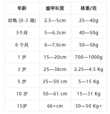 巴西龟年龄看背甲环纹，体重头身比辅助判断（巴西龟尺寸年龄对照表）