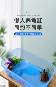 养草龟选对缸，空间光照要够，喂食勤观察（一只草龟用多大的缸）