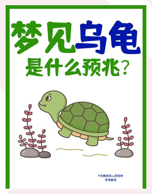 乌龟公母同行梦，和谐平衡生活启示（做梦梦到两只乌龟一只公的一只母的）