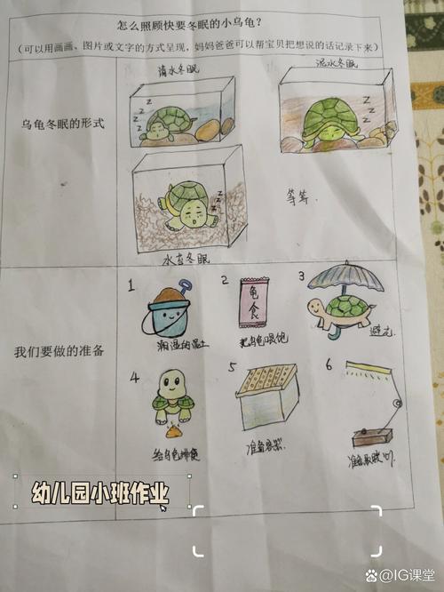 水龟冬眠与陆龟加温方法（冬季小乌龟怎么养）