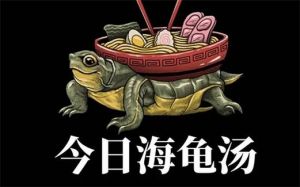校园推理游戏隐患多（王八汤海龟汤）